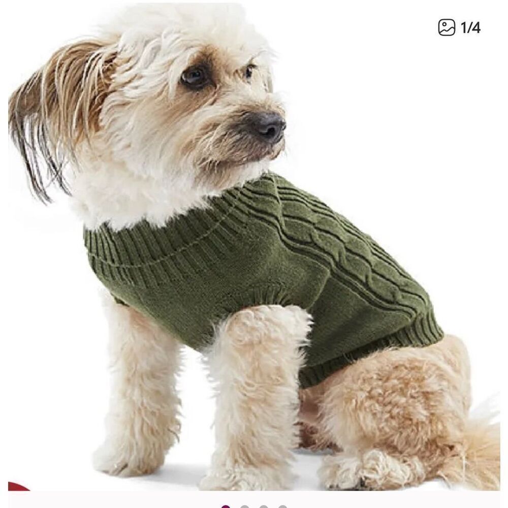 St. John’s Bark NWT sweater green sweater small